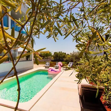 Villa Horizont With Sea View *